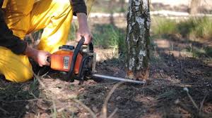 Best Pest Control for Lawns  in Warren, PA