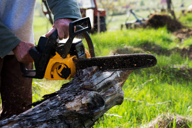 Best Lawn Maintenance Plans  in Warren, PA